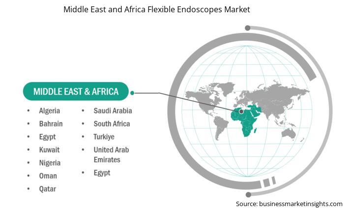 middle-east-and-africa-flexible-endoscopes-market