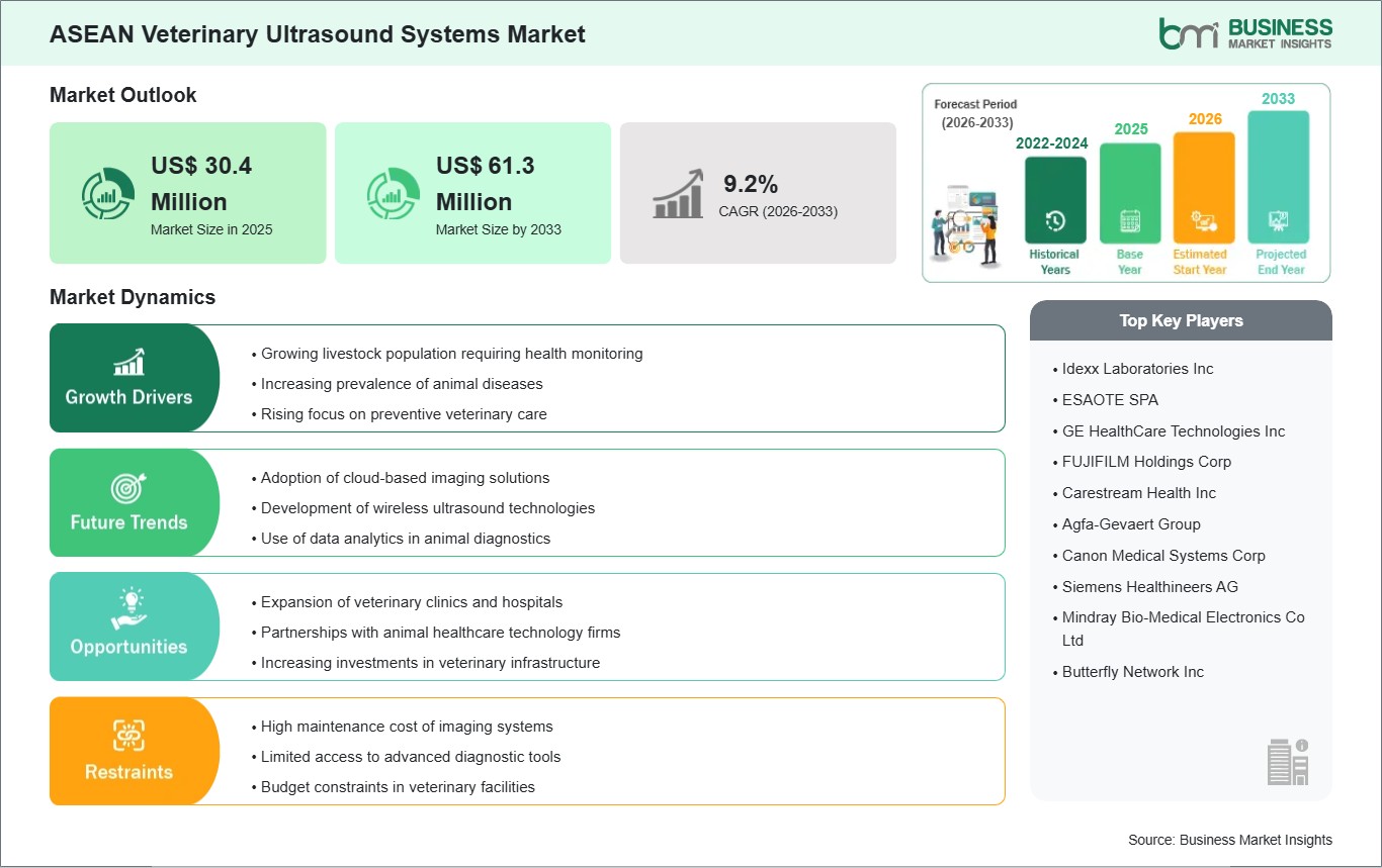global-market-strategic-framework