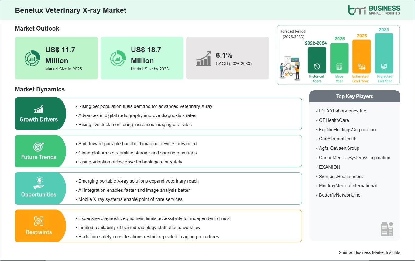 global-market-strategic-framework