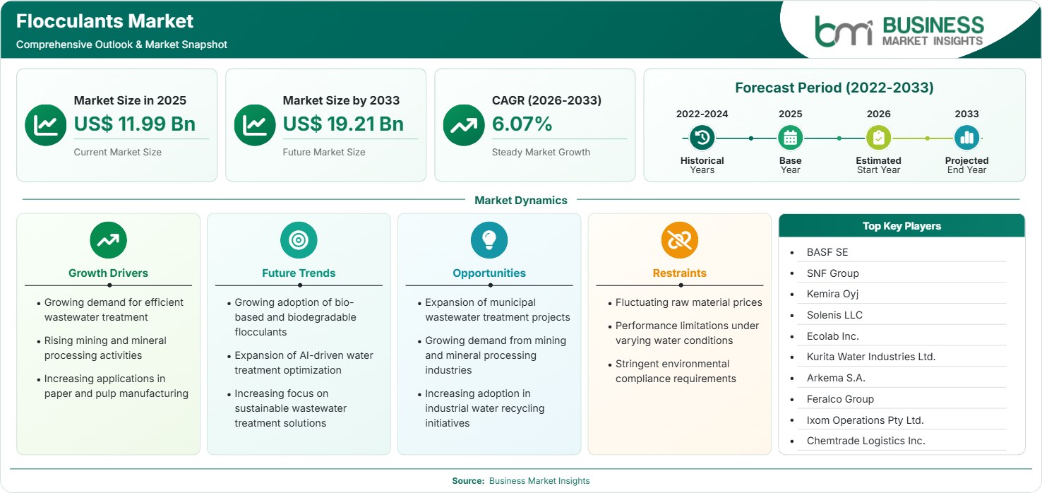 Flocculants Market Strategic Framework