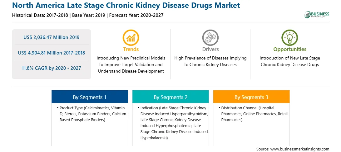 strategic-framework/north-america-late-stage-chronic-kidney-disease-drugs-market-strategic-framework.webp