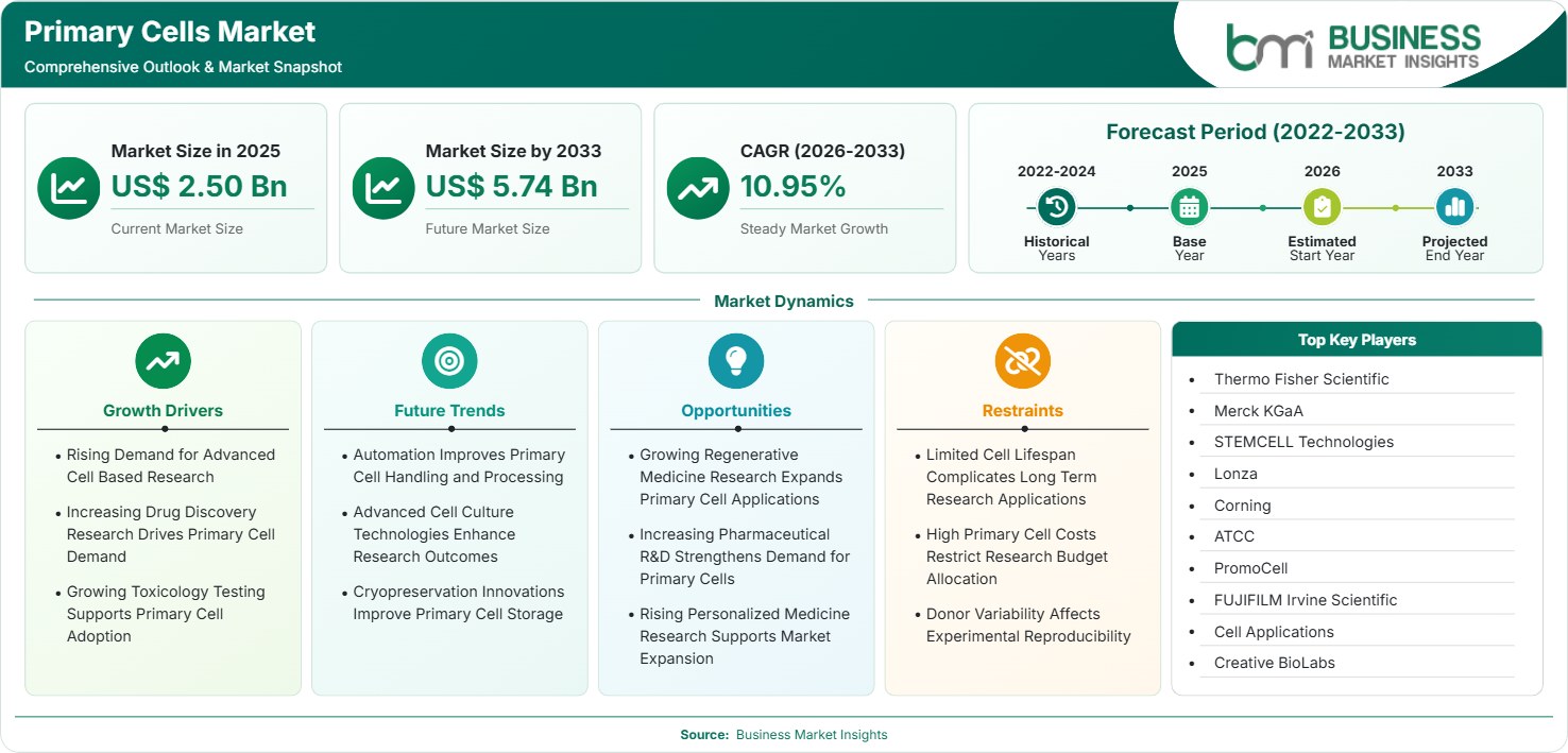 primary-cells-market-market-strategic-framework