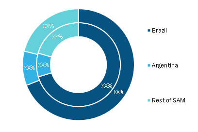 SAM Data Bus Market, By Country, 2020 and 2028 (%)