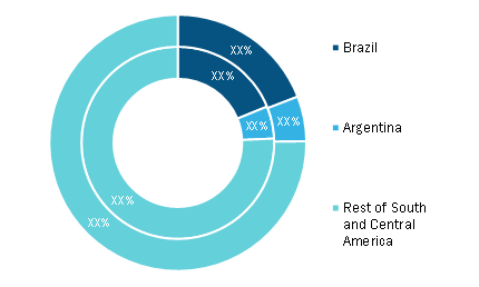 South and Central America Functional Beverages Market, By Country, 2020 and 2028 (%)
