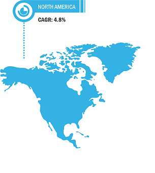 North America Metalaxyl-M Market Breakdown – by Region